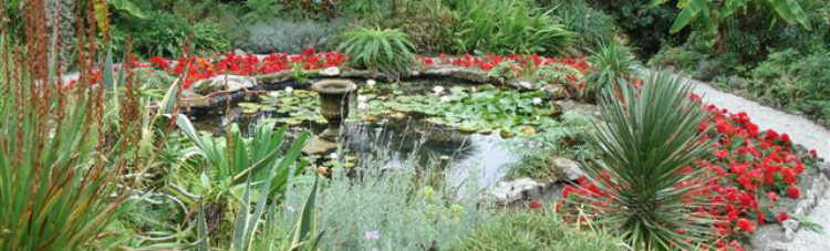 Water feature