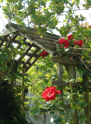 pergola